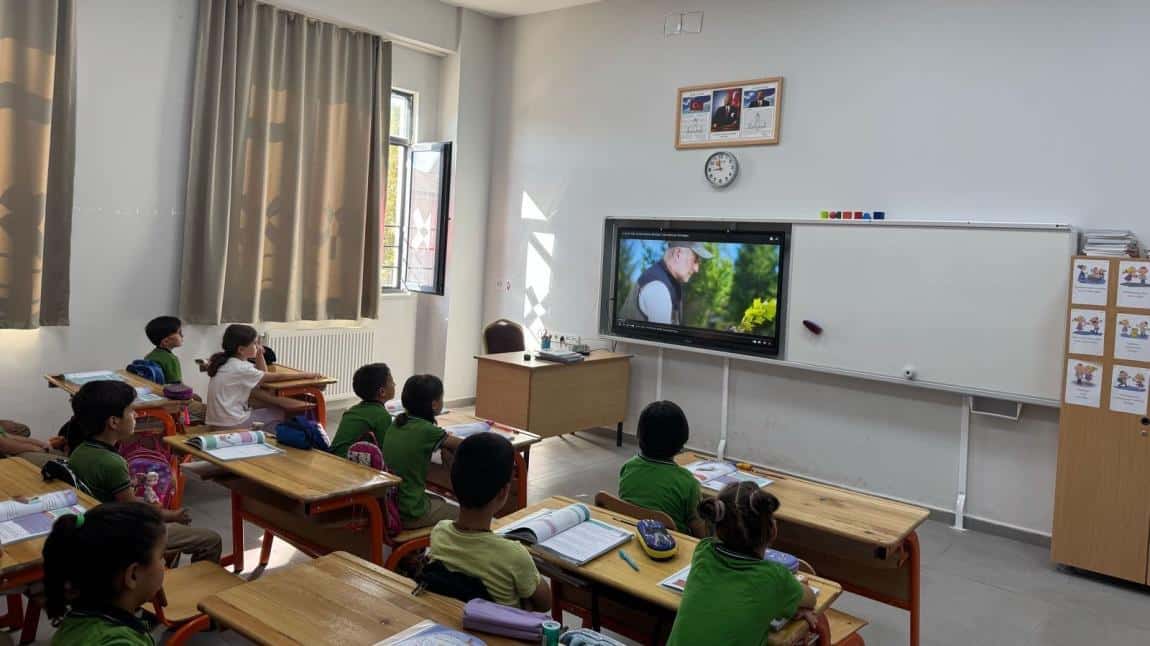 YEŞİL VATAN