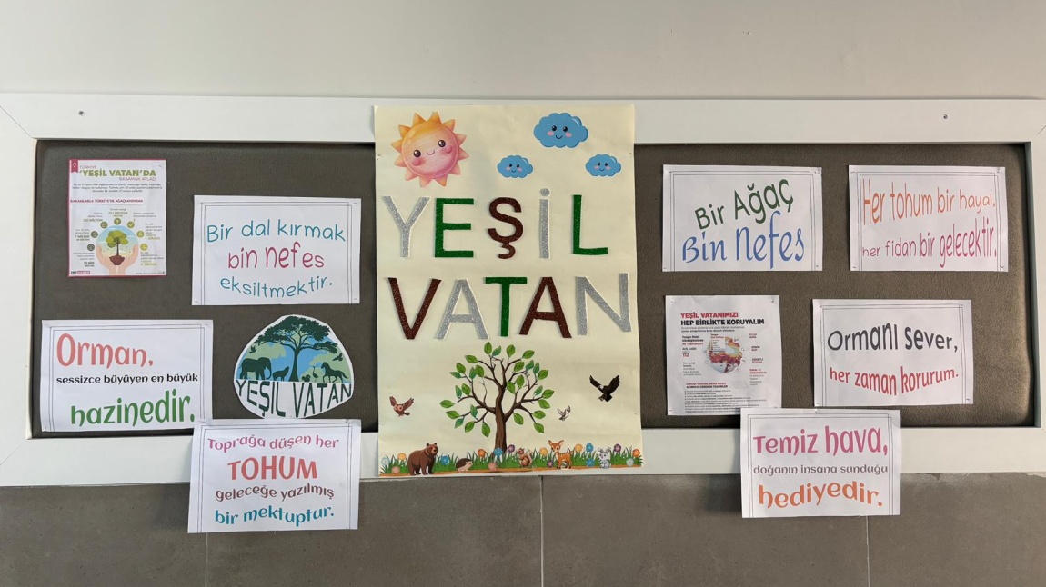YEŞİL VATAN PANO ÇALIŞMASI